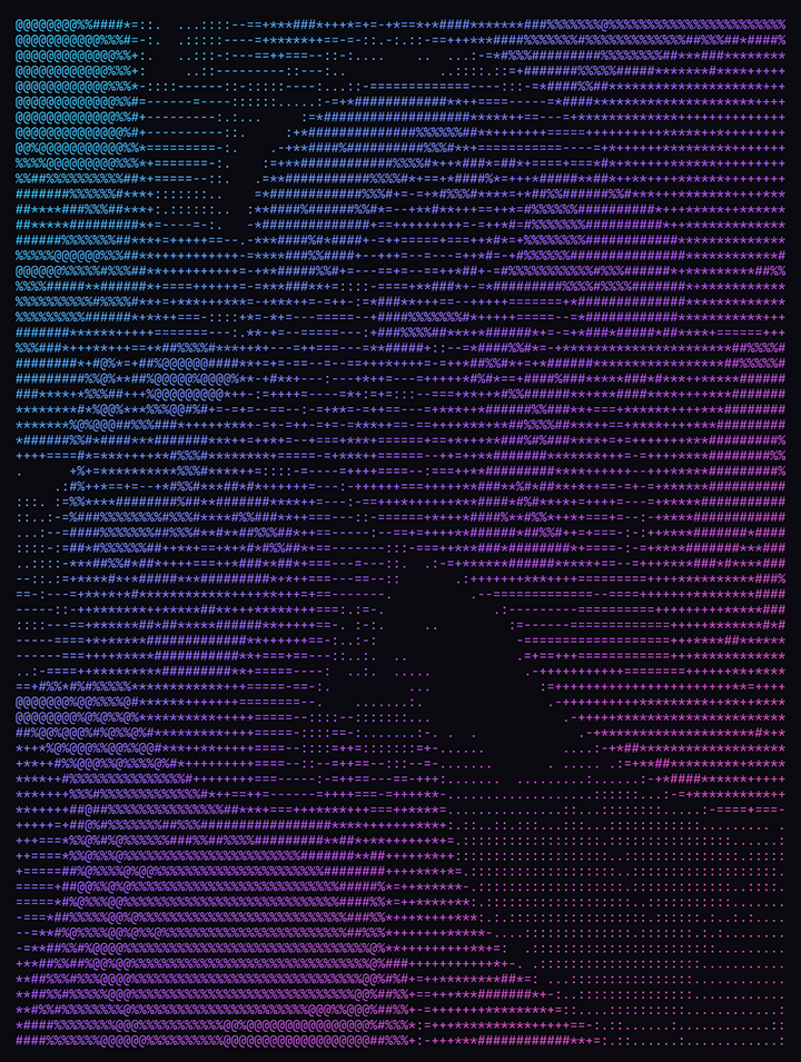 ASCII-style portrait of Josh and Kelly Cole